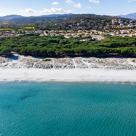 Stella Marina A Due Passi Dalla *