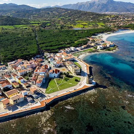 Stella Marina A Due Passi Dalla * La Caletta