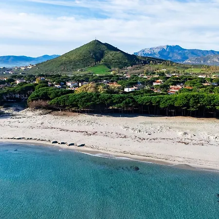 Stella Marina A Due Passi Dalla La Caletta