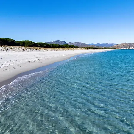 Stella Marina A Due Passi Dalla La Caletta