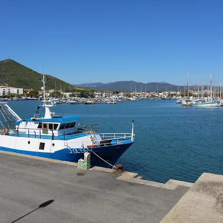 Stella Marina A Due Passi Dalla *